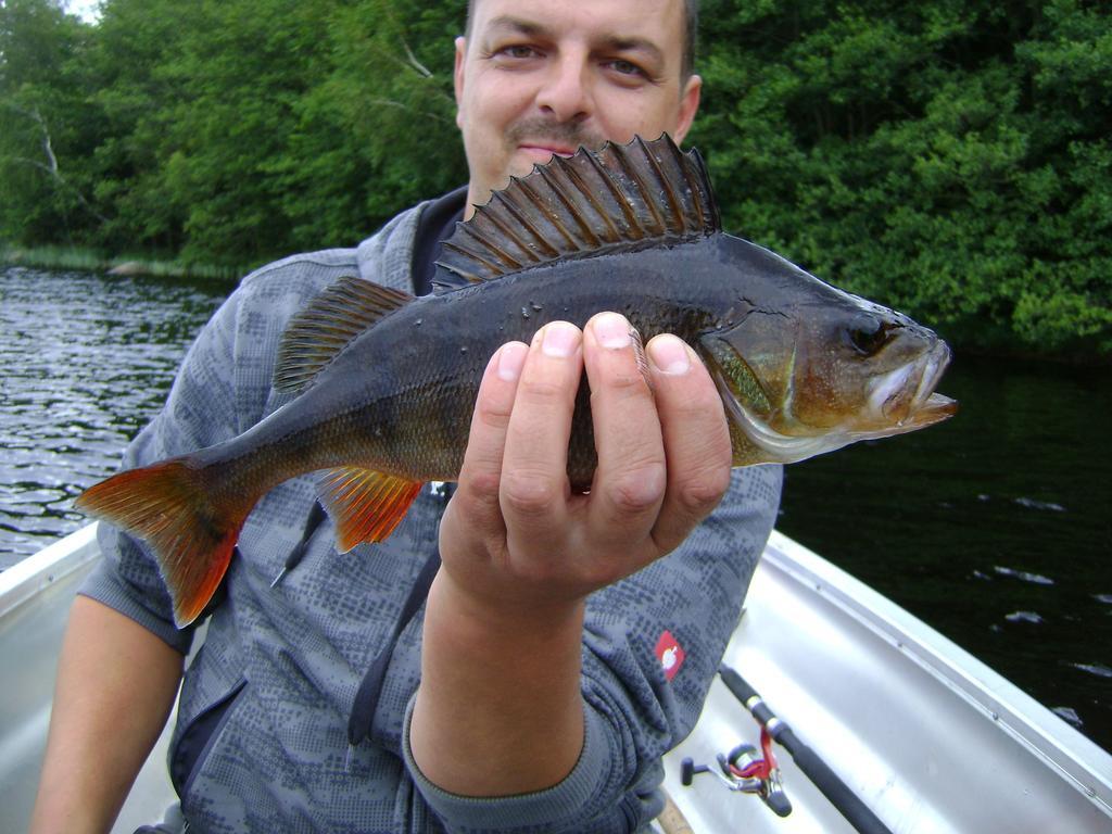 Wismens Natur & Fiske Krogsered Екстериор снимка