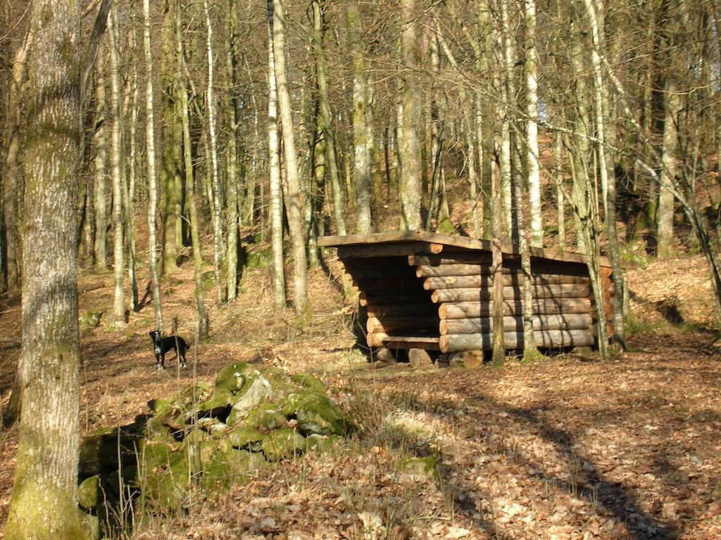 Wismens Natur & Fiske Krogsered Екстериор снимка