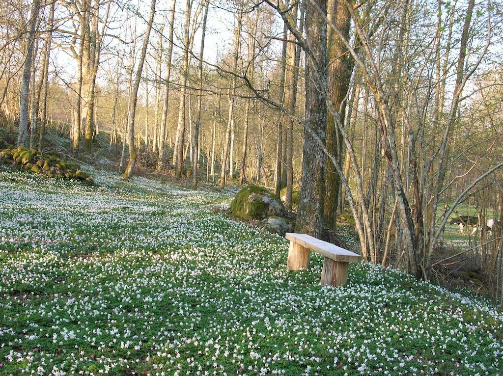 Wismens Natur & Fiske Krogsered Екстериор снимка