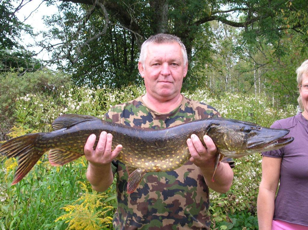 Wismens Natur & Fiske Krogsered Екстериор снимка