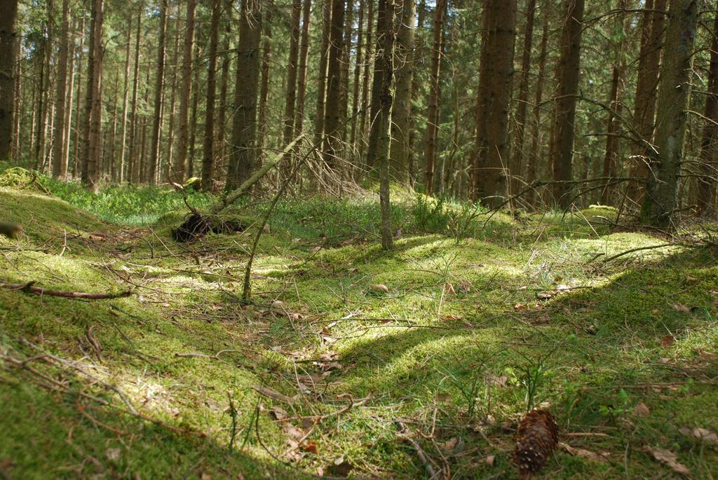 Wismens Natur & Fiske Krogsered Екстериор снимка
